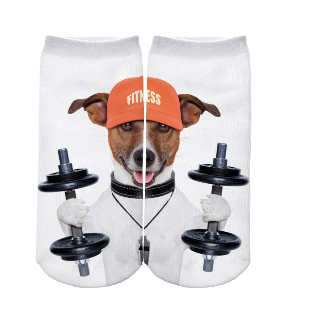 Jack Russell Funny Personal Trainer Socks